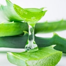 Aloe vera hydratante